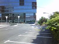 Imagine atasata: piata 700 03.JPG